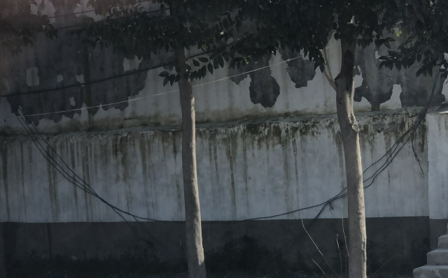 河南鄢陵县陶城镇:供电所管理混乱地爬线 裸露线 遍地开花。