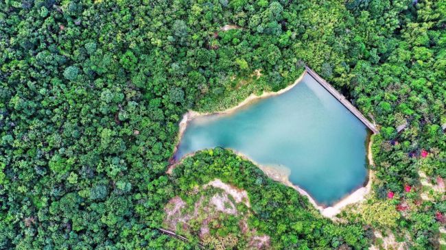 1-22011P9413V13 1-22011P9413V13