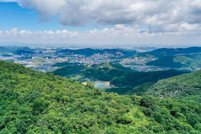 1-22011P9335V40 1-22011P9335V40