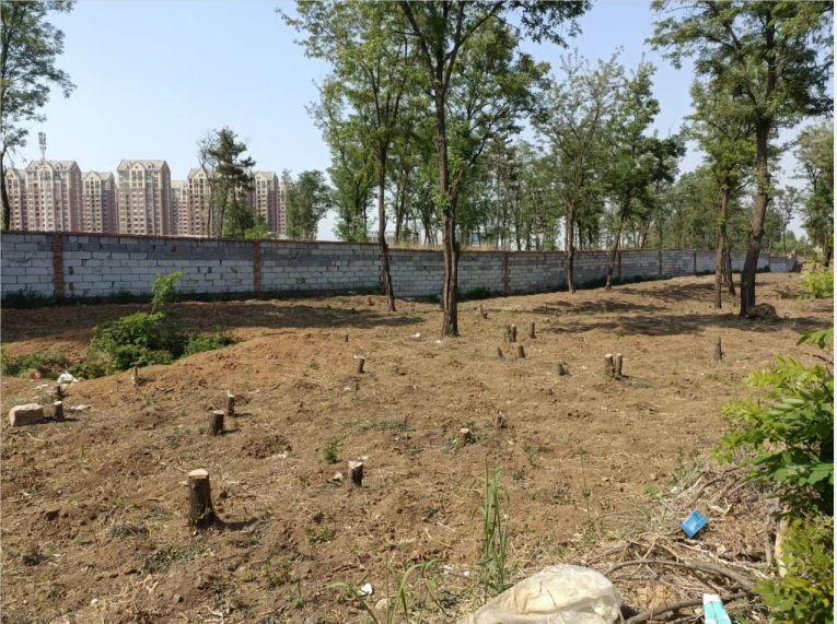 391a21b51d14feb626d475a8d1c1bbbc 391a21b51d14feb626d475a8d1c1bbbc