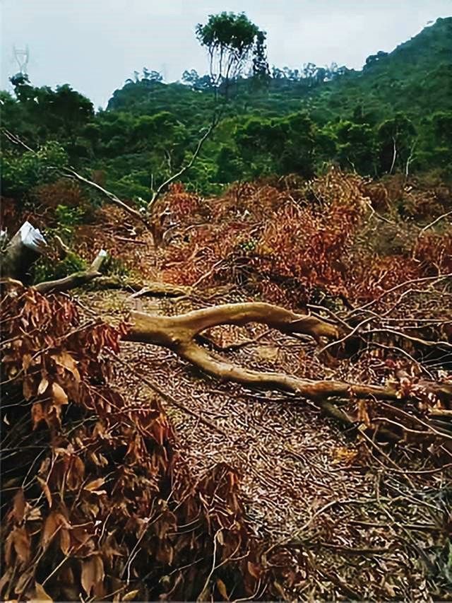 20221024031927891 20221024031927891