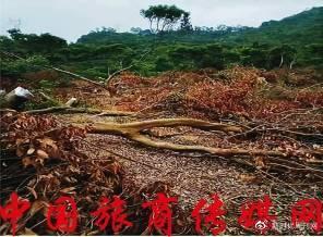 w700d1q75cms-7 w700d1q75cms-7