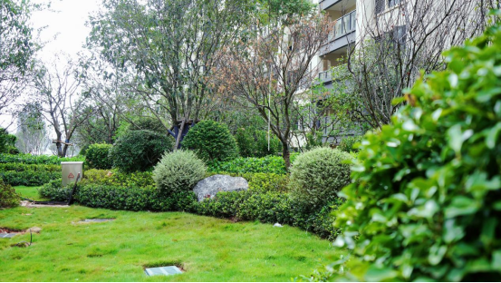 1691648624422806.png image.png