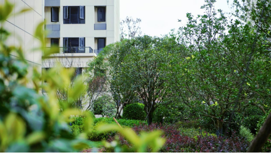 1691648650555269.png image.png