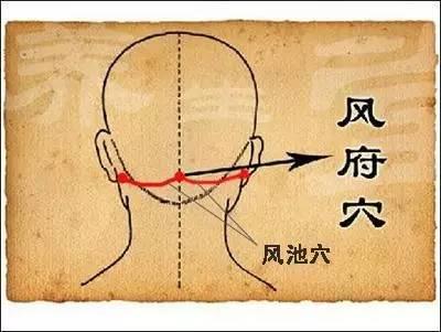 春末夏初,常按5大穴位“身体不拥堵”!