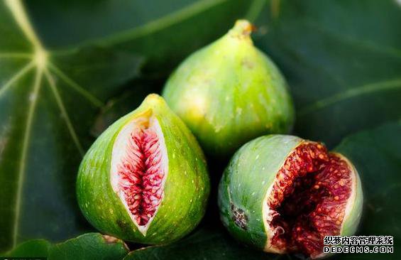 长相奇特的一种常见水果,却是治疗白癜风的良药!