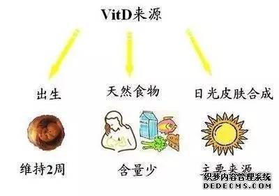 唯一能“延长寿命”的营养素,却不用花一分钱