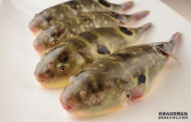 黄磊老师吃了这个导致中毒,劝大家这几种常吃食物还是不要碰了