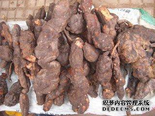 让头发茂密乌黑的好药材,单用就能补肝肾、益精血、乌须发