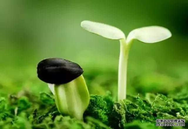 得了肾炎肾病还能活多久啊!